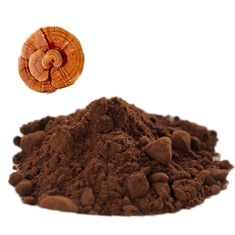 Smooth Texture Red Reishi Powder: Ideal for Capsules and Smoothies